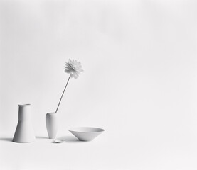 A white flower in a vase, with two other empty vessels, against a white background.