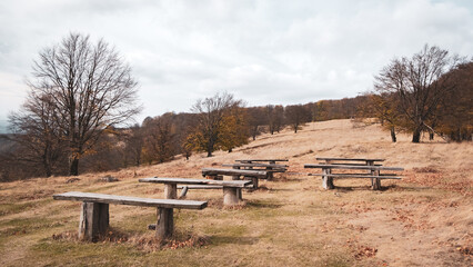 wooden benches in the brownfield with trees in the autumn