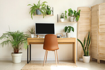 Interior of light office with workplace, shelves and green houseplants