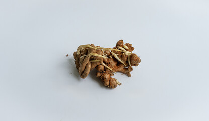 seed ginger, Sprouted ginger close-up, white background