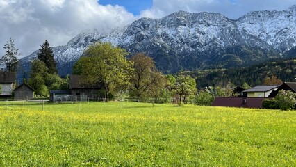 Fototapeta premium Wiosna w Alpach