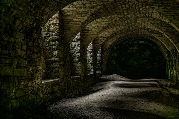 Obraz premium Ruiny zamku Krzyztopór 