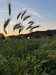 Tramonto al parco