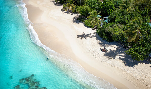 Aerial view of the beautiful beaches of Antigua and Barbuda with turquoise sea and coconut palm trees, Turners Beach