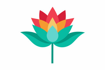 zenobia flower vector illustration