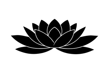 water lily vector illustration