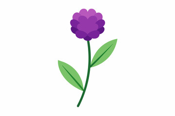 statice flower vector illustration