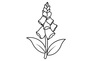 foxglove flower vector illustration