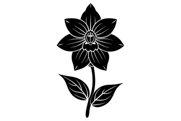 delphinium flower vector illustration