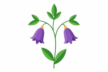 canterbury bells flower vector illustration