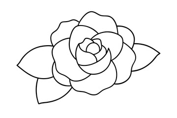 camellia flower vector illustration