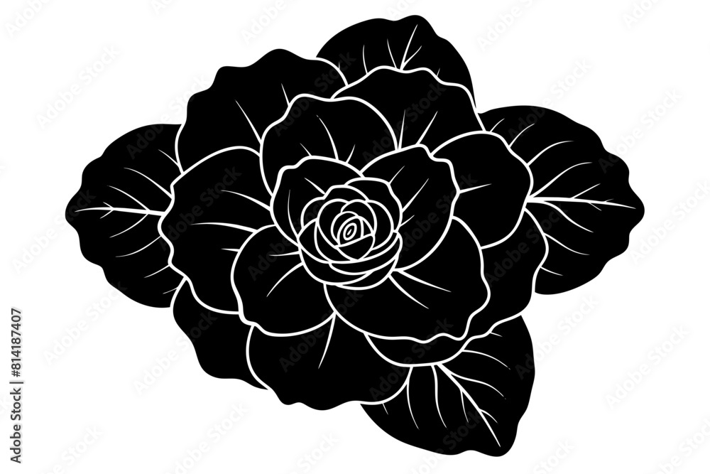 Sticker begonia flower vector illustration