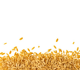 Dried orzo pasta - Italian risoni in the form of rice grains