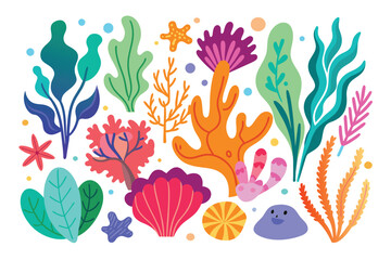 Collection of seaweeds and corals.