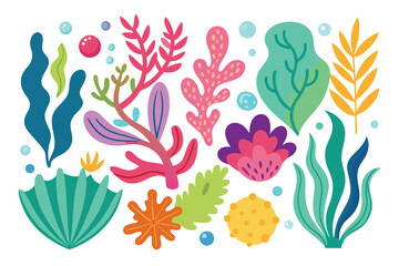 Collection of seaweeds and corals.