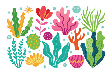 Collection of seaweeds and corals.