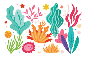 Collection of seaweeds and corals.
