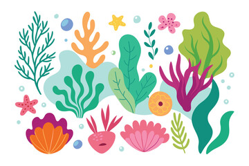 Collection of seaweeds and corals.