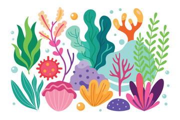 Collection of seaweeds and corals.
