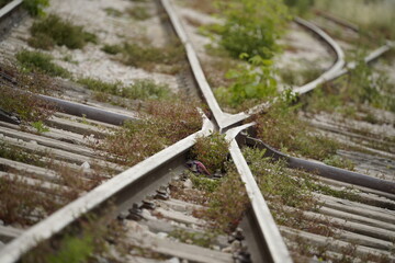 Fototapeta premium railway in the countryside