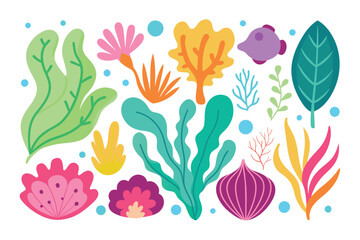 Collection of seaweeds and corals.