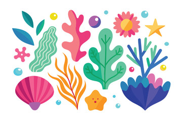 Collection of seaweeds and corals.