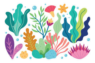 Collection of seaweeds and corals.