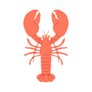 recommend clip art: Hand drawn vintage lobster sea food isolated illustration. Marine animal clip art design with crawfish, restaurant cooking ingredient.	