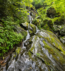 Place of a Thousand Drips In The Roaring Fork, Great Smoky National Park, Tennessee, USA