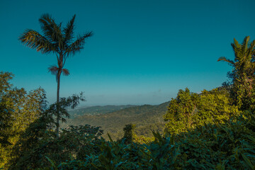 El Yunque rainforest in Puerto Rico, near San Juan, United States