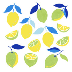 Set of lemon fruits and branches. Vector illustration in contemporary minimalistic style.