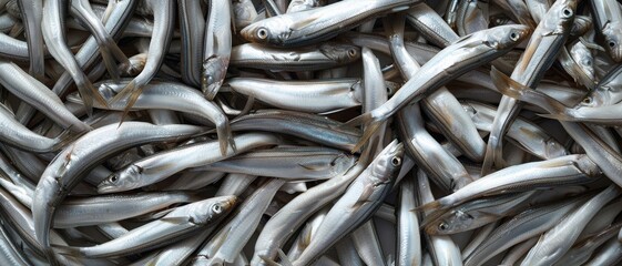 Large load of anchovy thrown on a big pile as they are being sold on the fish market. Anchovys in a fish market.