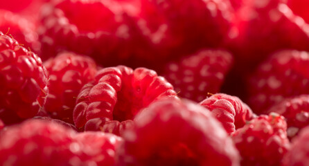 Raspberry fresh berries closeup, ripe fresh organic Raspberries red background, macro shot. Harvest concept, wide screen 