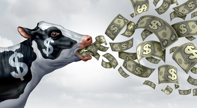 Cash Cow business metaphor as a success symbol  for a profitable company or service generating profit and growing wealth for profitability like cows producing milk consistently.