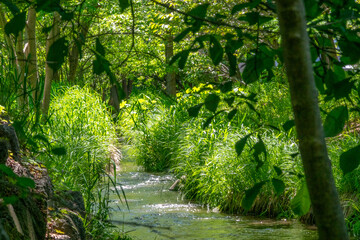 Obraz premium 初夏の精進河畔公園（北海道札幌市豊平区）