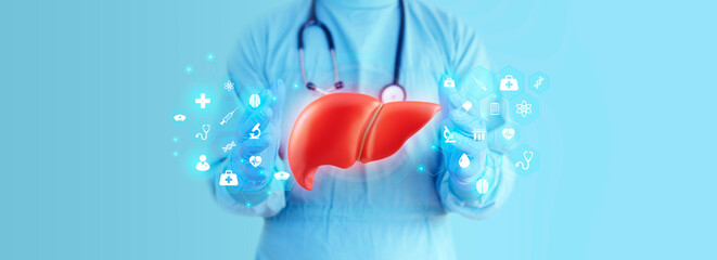 The doctor studies and analyzes the liver in good health. Scene of a doctor on a light blue background with medicine and anatomy icons. Choresterol reduction