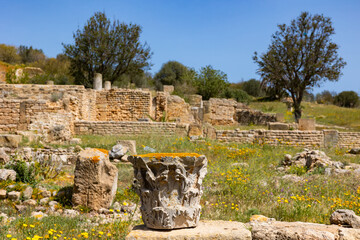 Ancient Roman Empire ruins of Carthage, villas in Tunisa