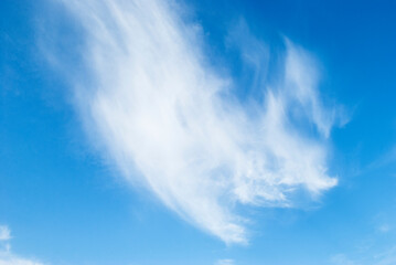 gentle clouds in the blue sky