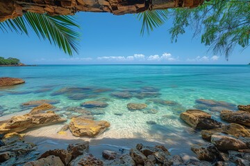 Ocean View Through Tree Canopy