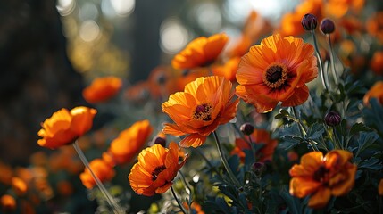 Obraz premium a field of orange flowers with the sun setting in the background. Created with generative AI.