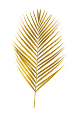 Naklejka premium Golden palm leaves isolated on white background.
