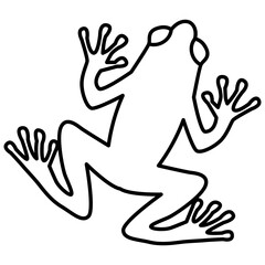Fototapeta premium Frog