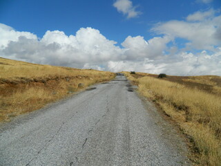 Fototapeta premium road in the countryside