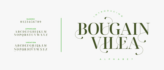 Bougainville elegant font alphabet uppercase lowercase and number. Classic lettering minimal fashion designs. Typography modern serif fonts regular decorative vintage concept. Vector illustration