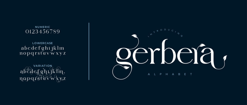 Garbera elegant font alphabet uppercase lowercase and number. Classic lettering minimal fashion designs. Typography modern serif fonts regular decorative vintage concept. Vector illustration