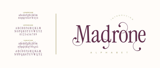Madrone elegant font alphabet uppercase lowercase and number. Classic lettering minimal fashion designs. Typography modern serif fonts regular decorative vintage concept. Vector illustration