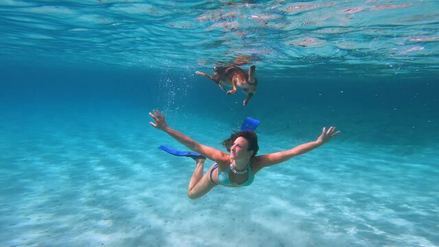 UNDERWATER: Joyful moment of a woman and her dog swimming together in crystal clear blue Adriatic Sea. Smiling young lady in a bikini dives and swims beneath her doggo that floats on the surface.