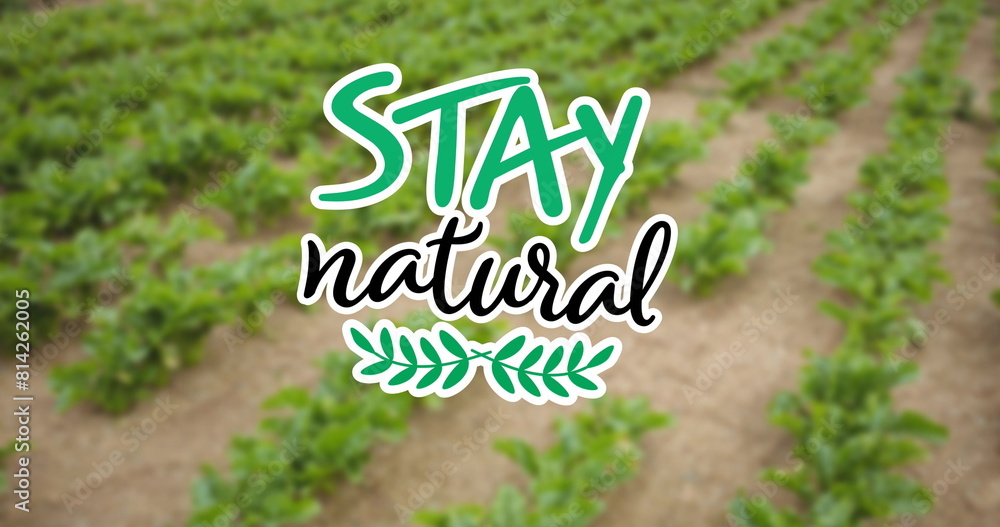 Canvas Prints Image of stay natural text over plants