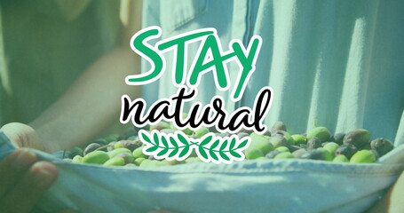 Image of stay natural text over caucasian man picking fruit