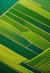 illustration, aerial geometric patterns agricultural fields view, shapes, symmetry, design, crop, landscape, agriculture, lines, farming, formations, rural